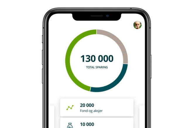Skjermbilde oversikt smartspar